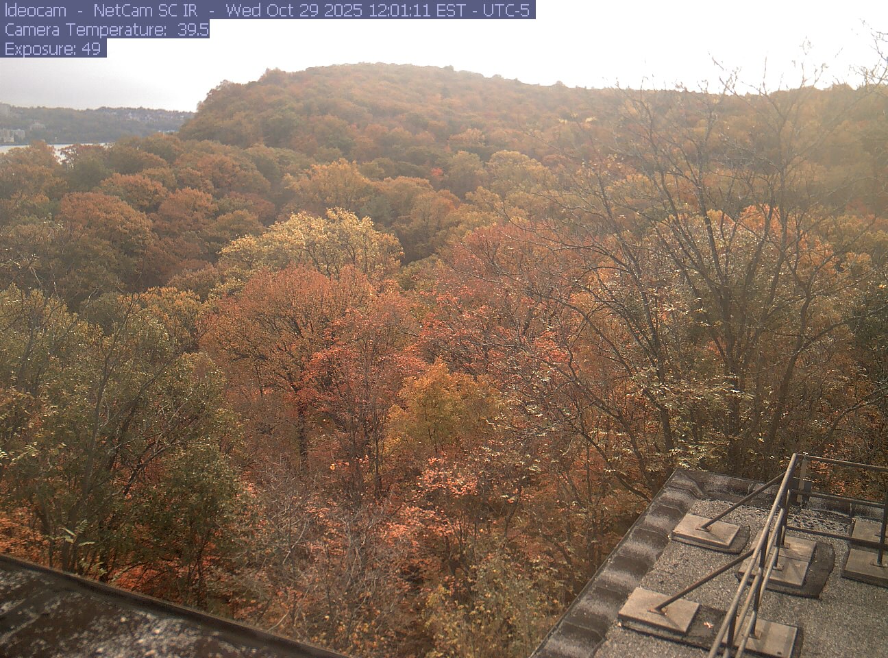 A wooded ridge rises behind close canopy at Lamont–Doherty Earth Observatory.