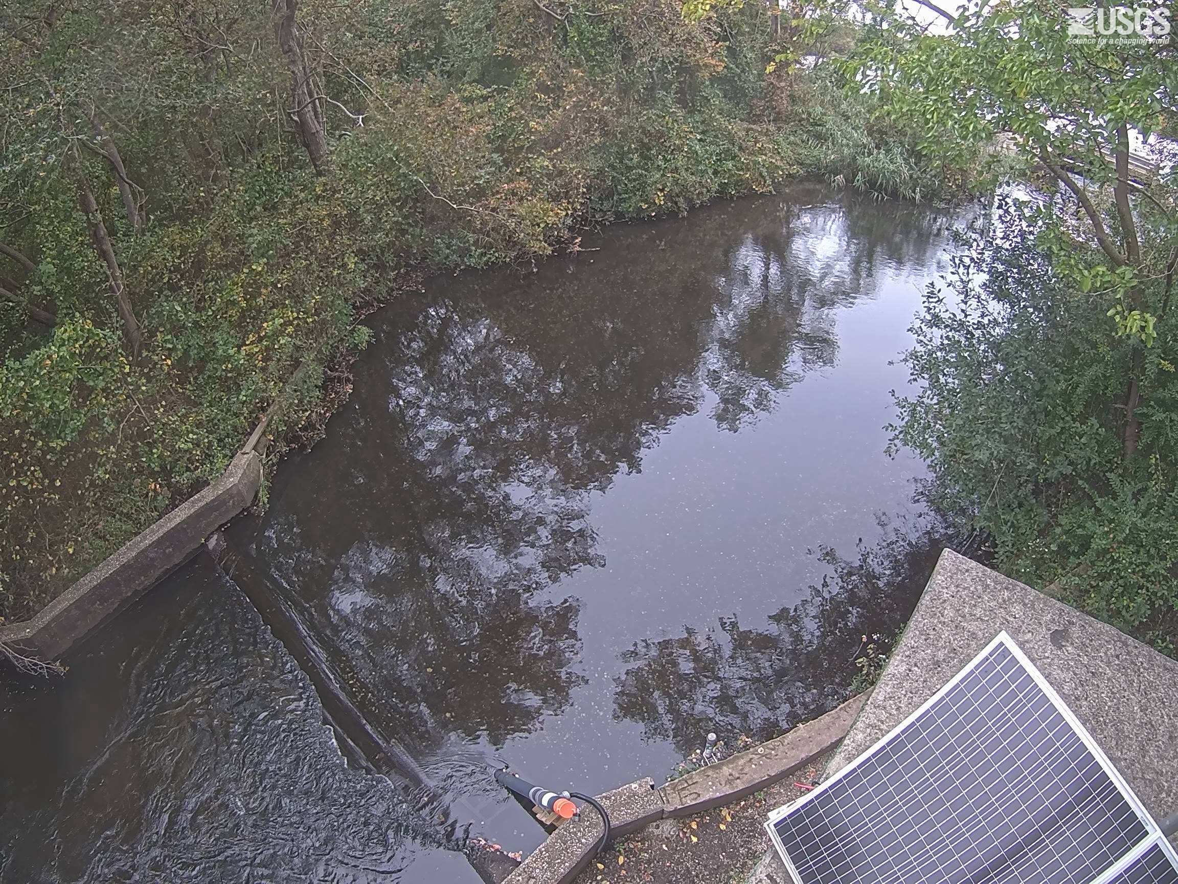 A still woodland pool reflects green and bronze foliage, with leafy banks and a small concrete weir in the foreground. The view looks down over the gauge and a solar panel.