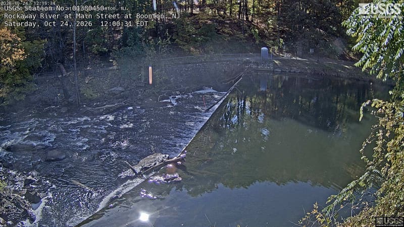 A long diagonal weir runs below a wooded bank with clear green and yellow foliage, stone edging and fallen logs. Trees occupy a substantial upper-left part of the scene. Two visible clocks disagree on minutes, so only their shared October 4 local date is asserted.
