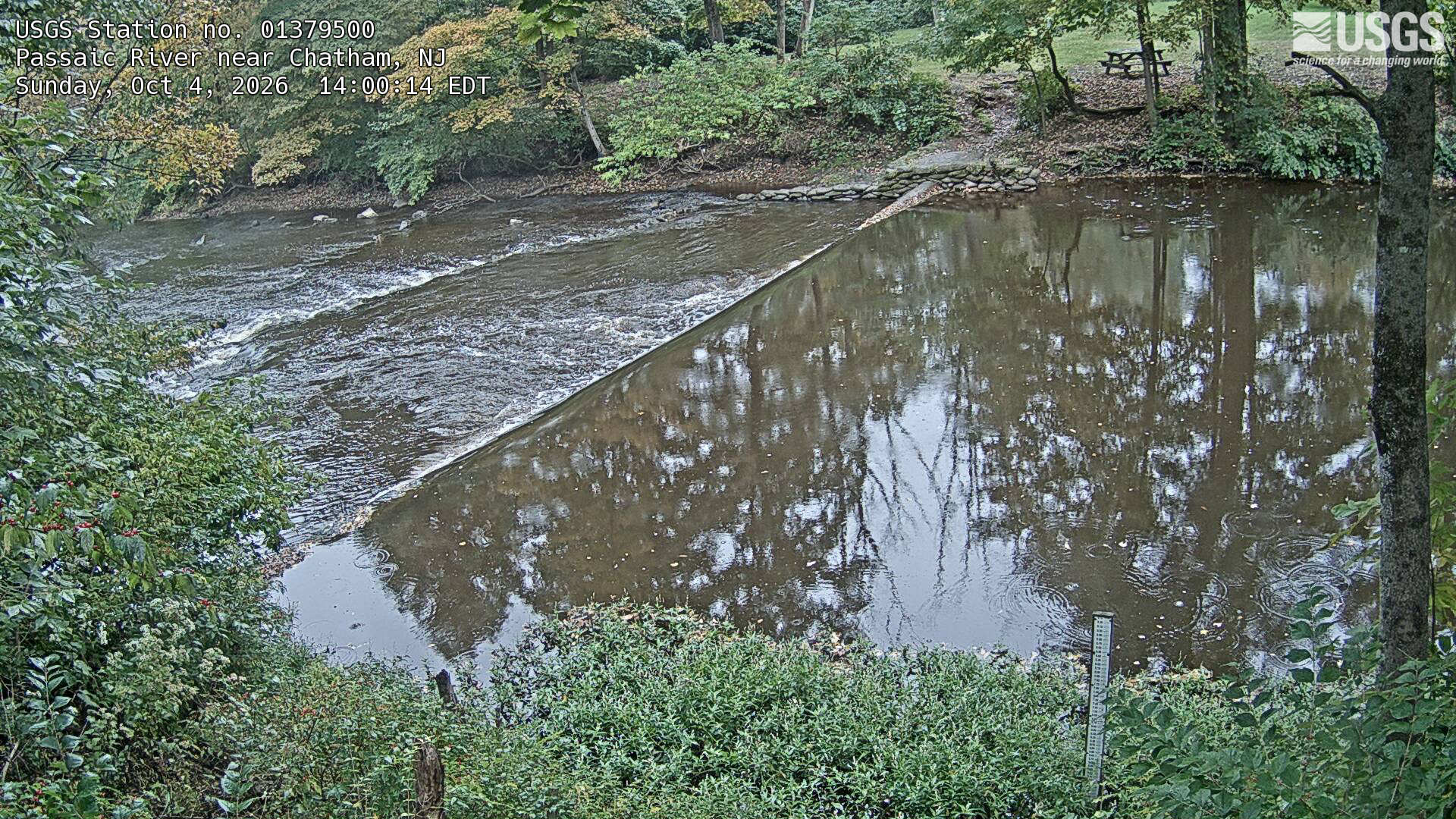 Leafy banks and a low weir form a clear wooded river scene. Green foliage with scattered yellow leaves is readable along the far bank and near-left branches.
