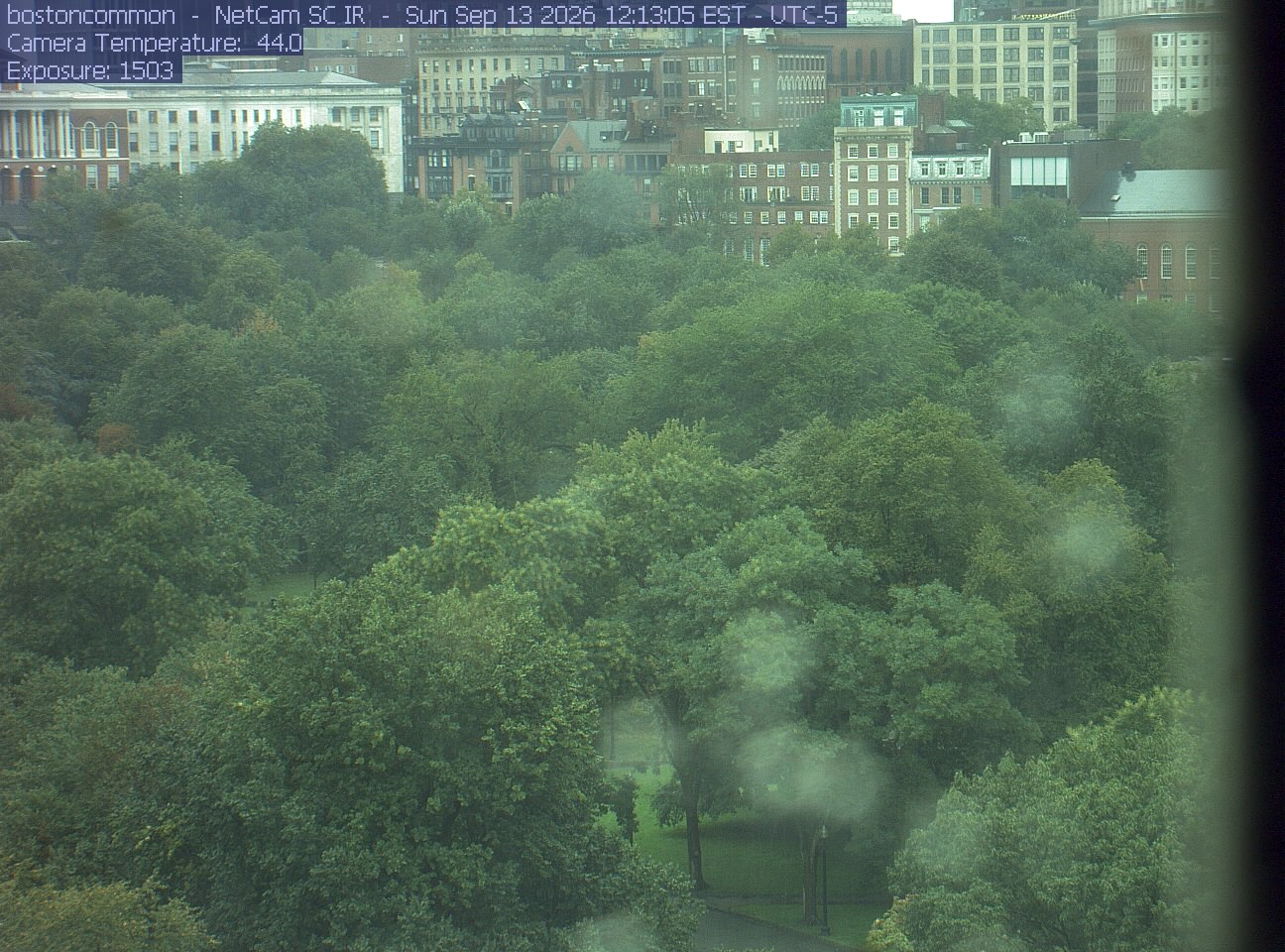 Buildings rise behind the park canopy; a fixed structure covers part of the right edge.