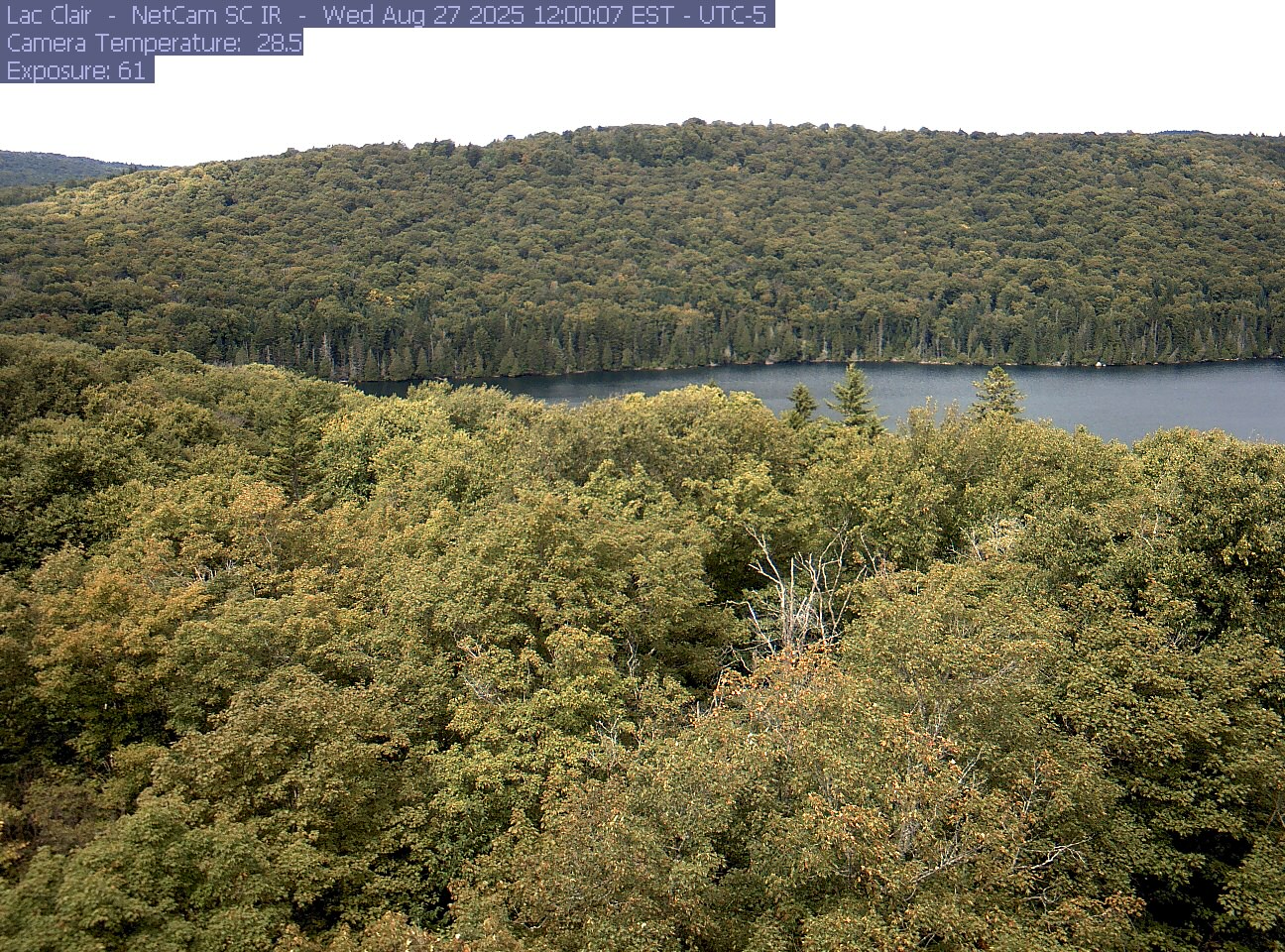 A wooded hillside and close canopy frame the water at Lac Clair.