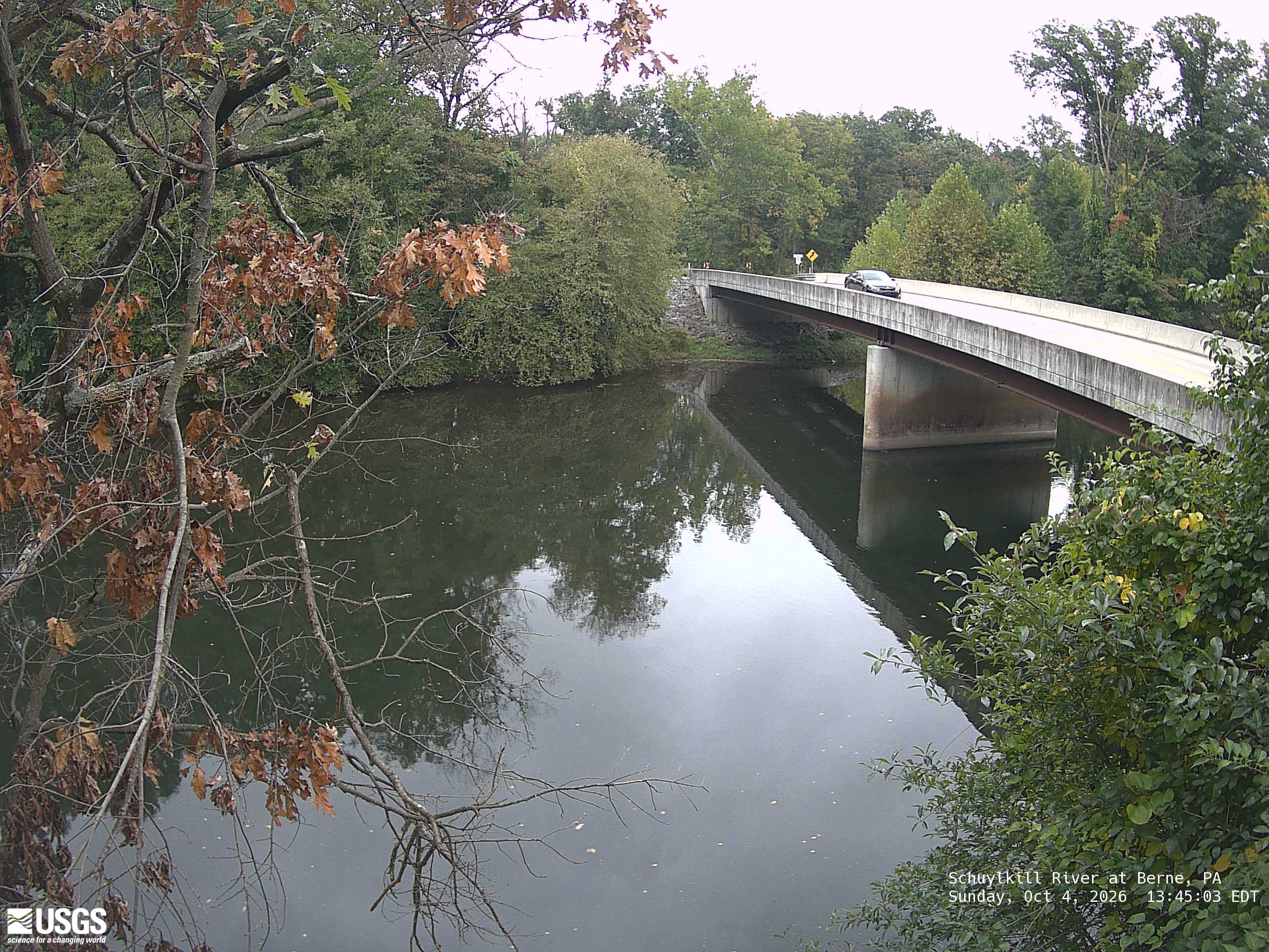 Clear wooded banks around a bridge and reflective river. Nearby leaves at left are brown and sparse; the farther canopy is predominantly green with some yellow. Those brown foreground leaves alone do not describe the whole canopy.
