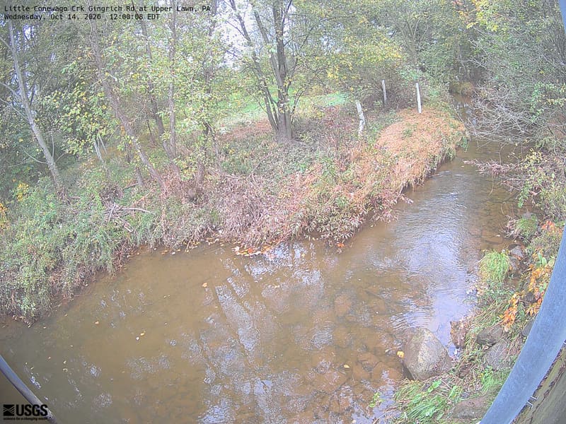 A wooded creek and nearby yellowing leaves are visible, but a washed-out exposure makes colour and fine crown detail unreliable. Local scenery context only.