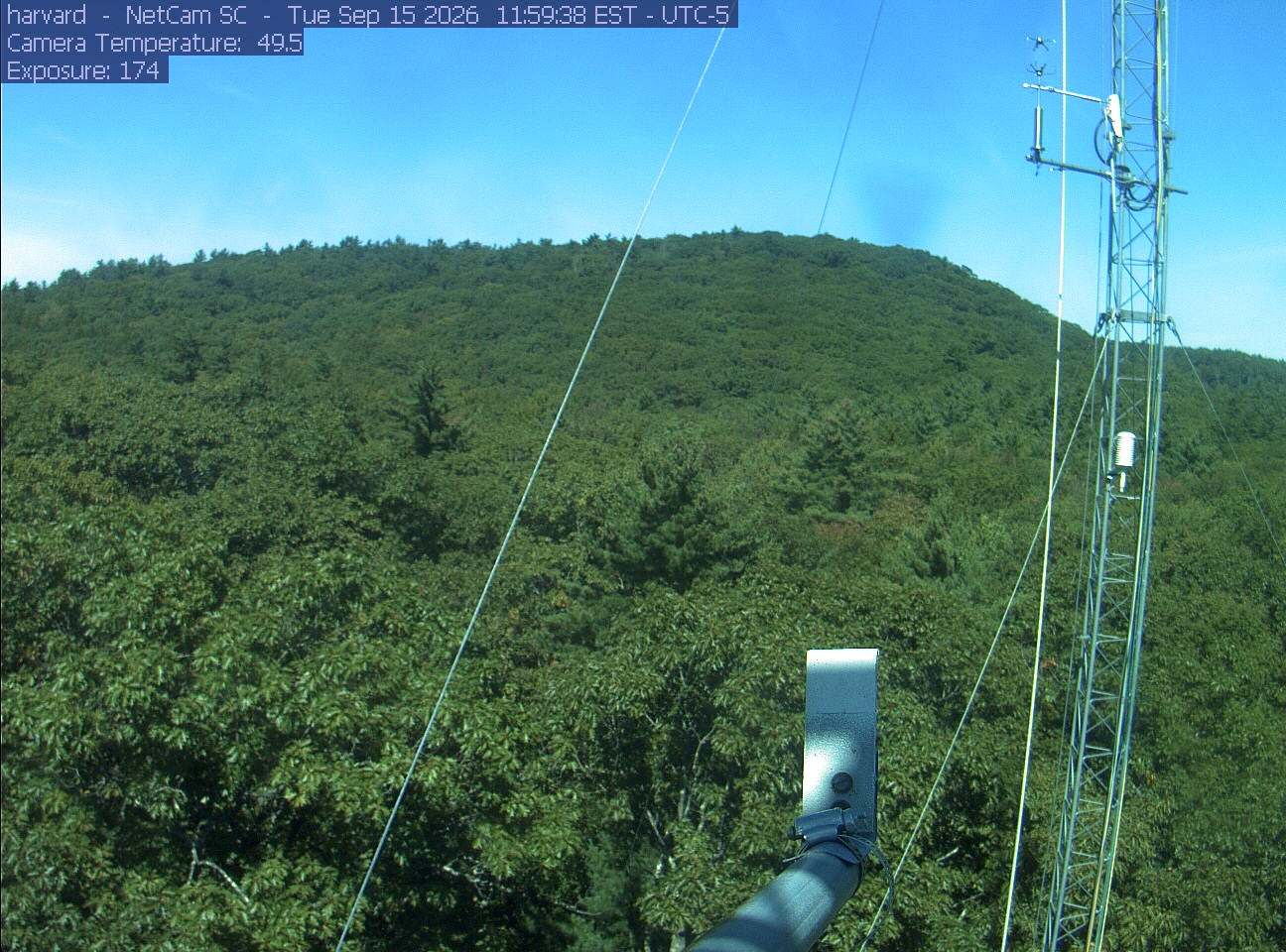 Forest canopy surrounds the tower, with a mast and instruments in the foreground.