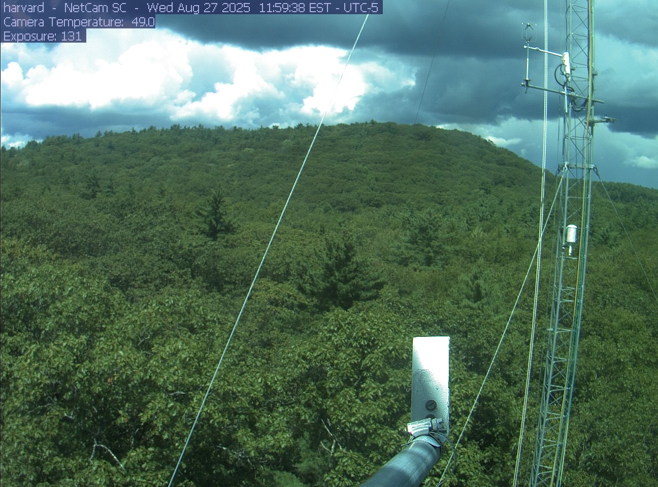 Forest canopy surrounds the tower, with a mast and instruments in the foreground.