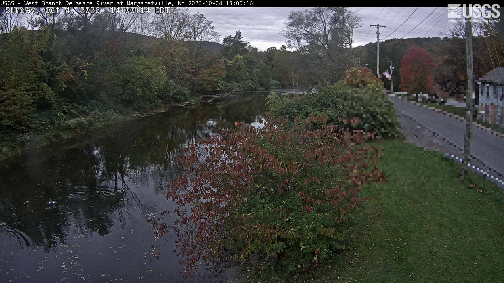 A wooded river corridor with close red branches, green-brown far-bank trees and a distant wooded hill, where the provider has pixelated a rectangle over the road and houses. The exposure is dark but the local leaf colors remain visible.