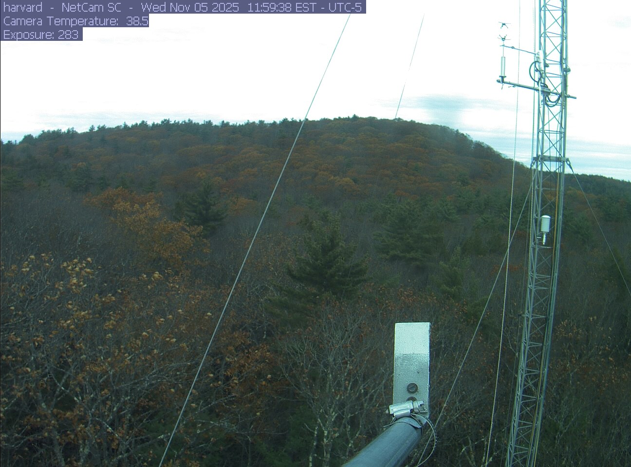 Forest canopy surrounds the tower, with a mast and instruments in the foreground.