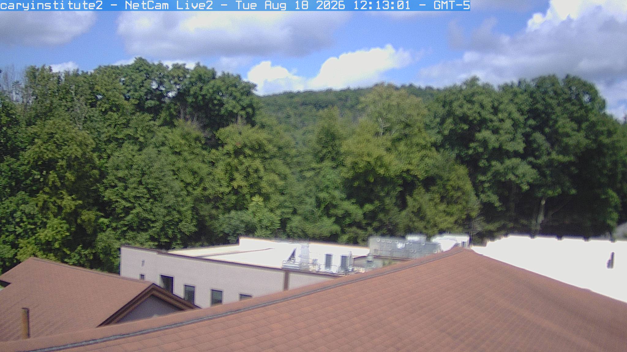 A rooftop camera at the Cary Institute in Millbrook looks over a shingle roof and a flat-roofed building to broadleaf woods and a ridge.