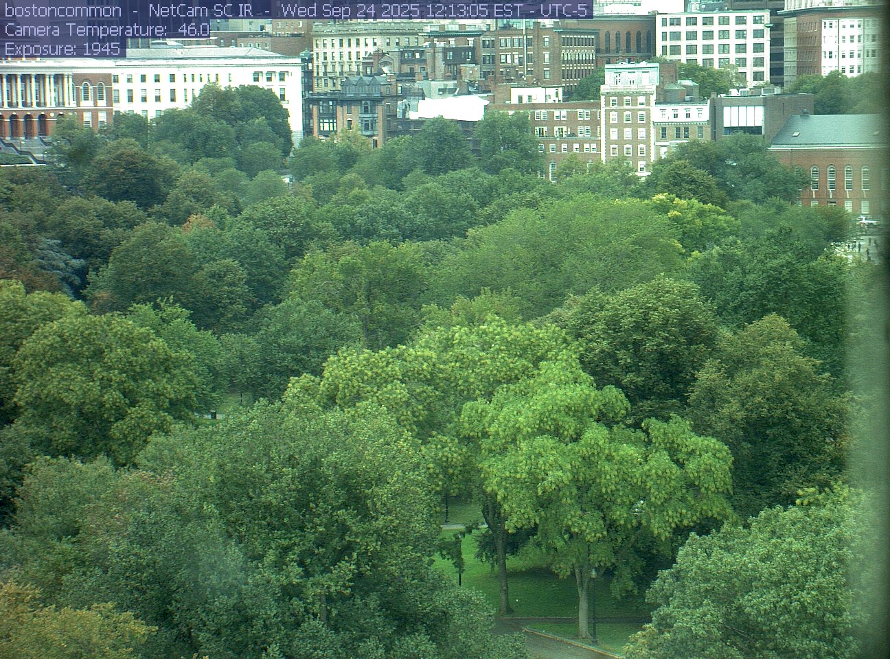 Buildings rise behind the park canopy; a fixed structure covers part of the right edge.