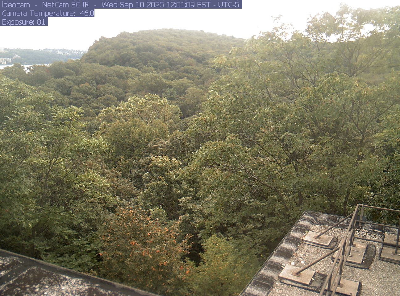 A wooded ridge rises behind close canopy at Lamont–Doherty Earth Observatory.