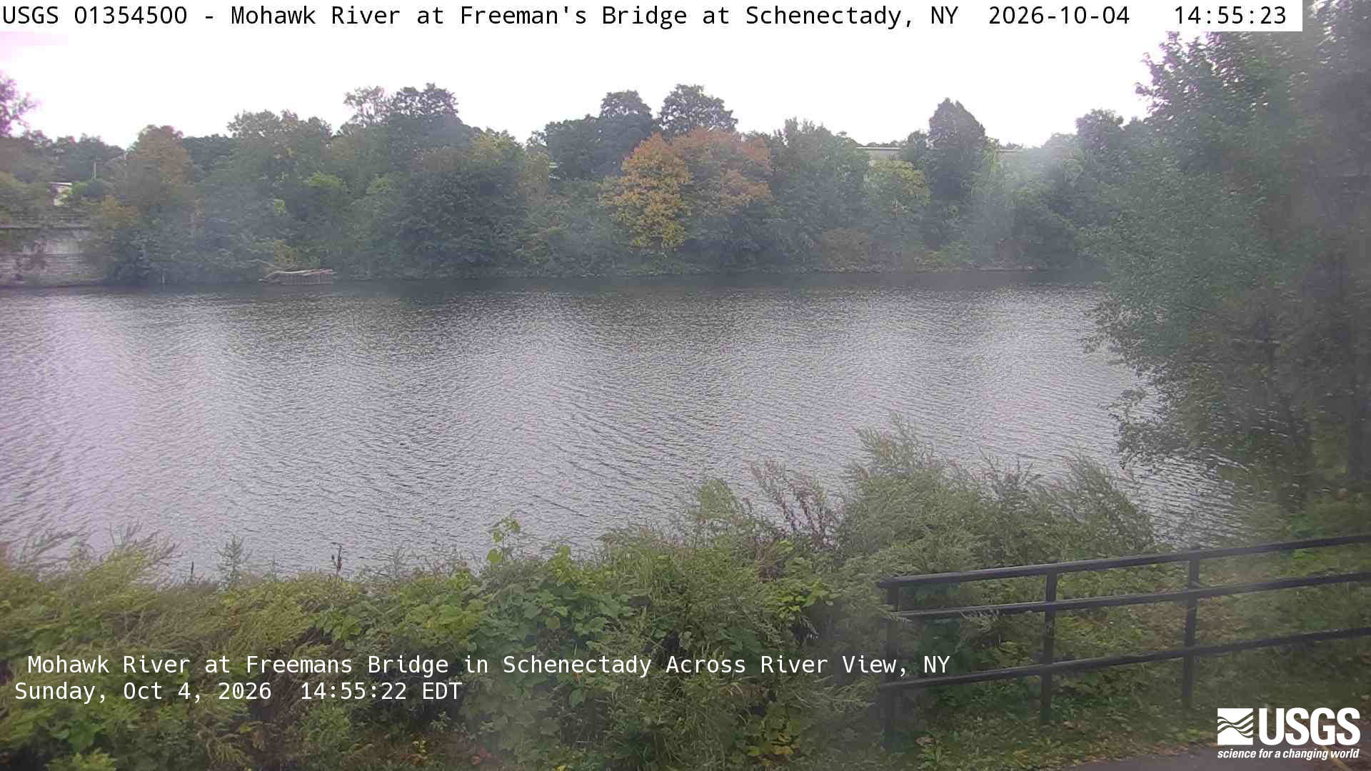 A broad far-bank row of green trees includes a clearly yellow-orange crown; close branches and a railing frame the river. Light haze and the water-filled foreground limit fine detail, but the tree crowns and their colors remain readable. The native clock differs from the provider overlay by one second.
