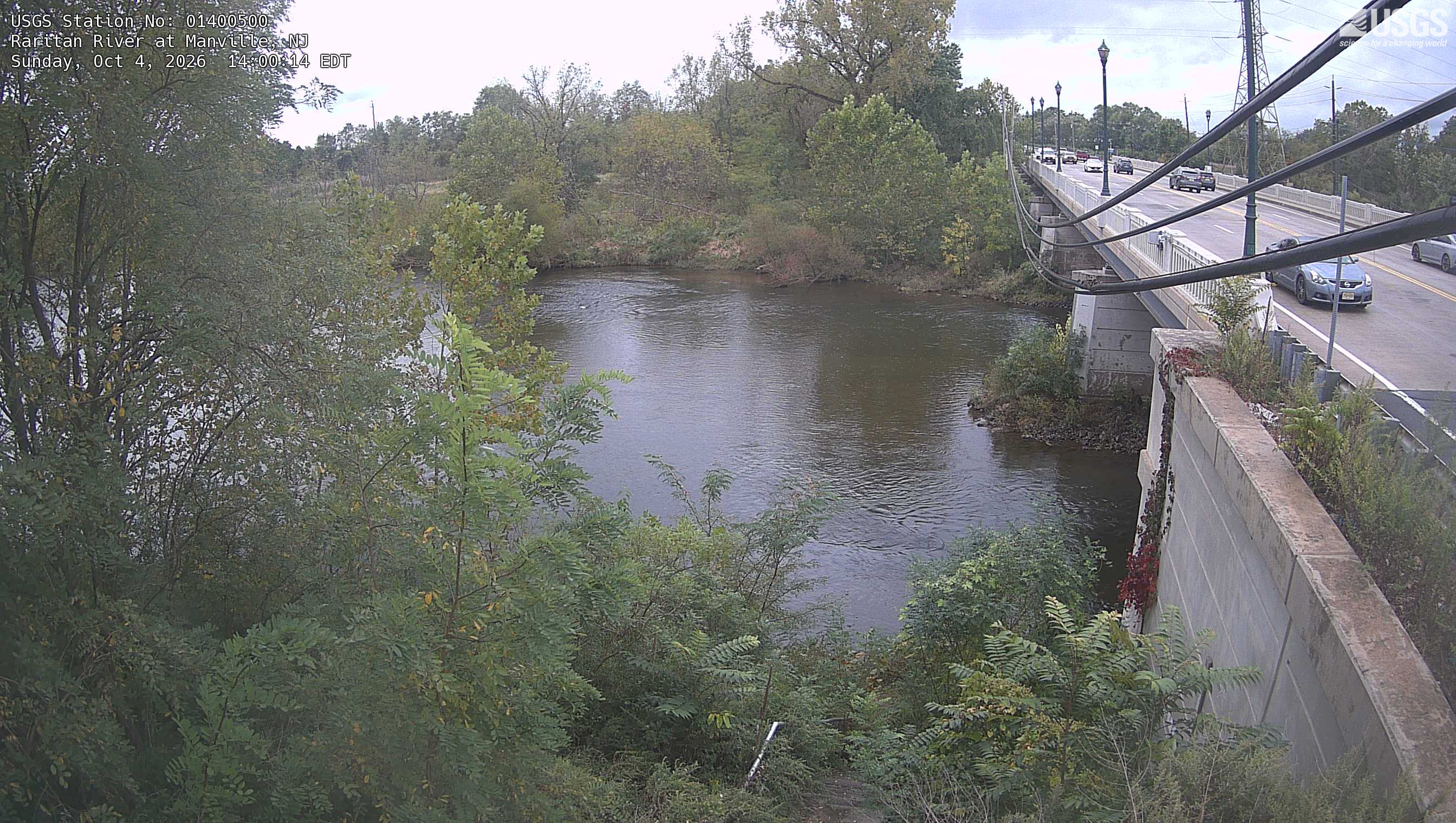 A broad tree-lined river curves beside a busy road bridge. Near branches and opposite-bank crowns are readable, mostly green with modest yellowing. The bridge, traffic and overhead cables are part of the scene; this is local urban-river foliage.