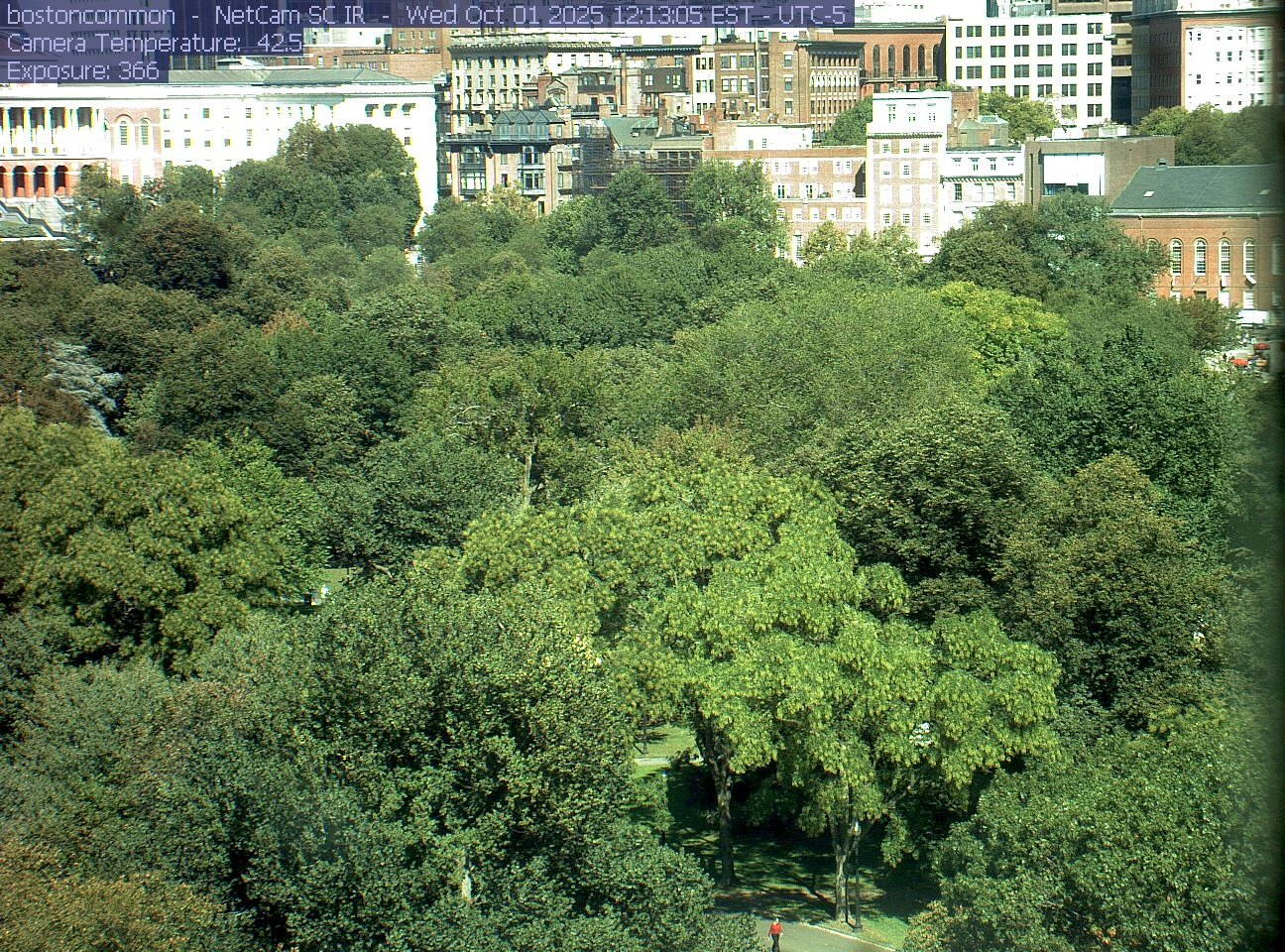 Buildings rise behind the park canopy; a fixed structure covers part of the right edge.
