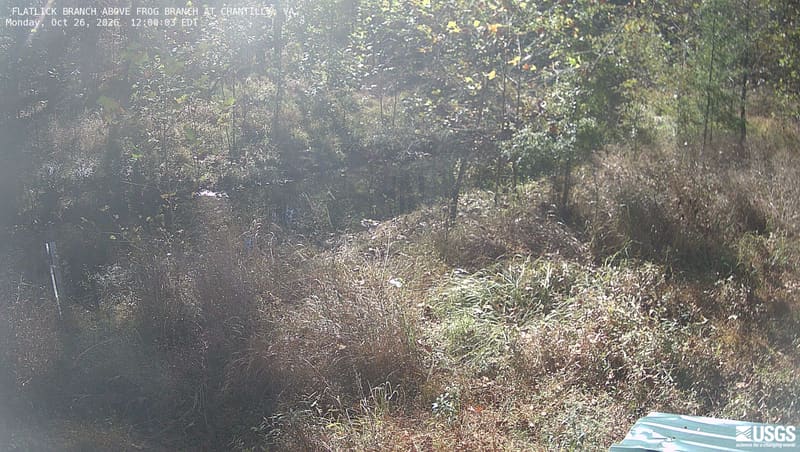 A small shaded stream winds through tall dry grasses and dense deciduous woodland, with green and yellow leaves and an upright gauge at left.