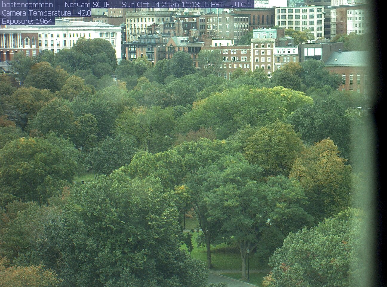 Buildings rise behind the park canopy; a fixed structure covers part of the right edge.