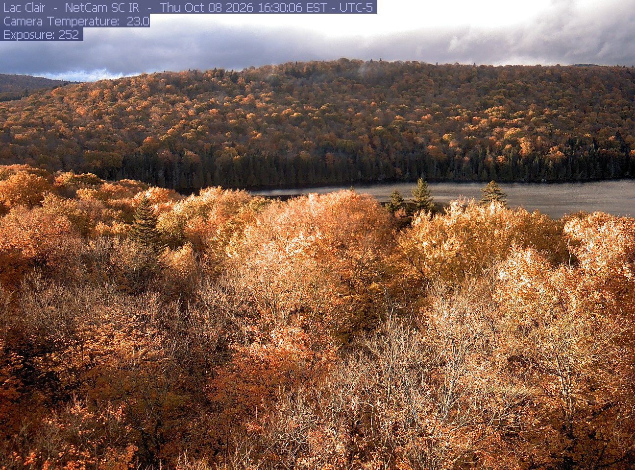 A wooded hillside and close canopy frame the water at Lac Clair.