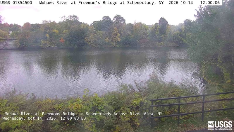 A broad far-bank row of green trees includes a clearly yellow-orange crown; close branches and a railing frame the river. Light haze and the water-filled foreground limit fine detail, but the tree crowns and their colors remain readable. The native clock differs from the provider overlay by one second.