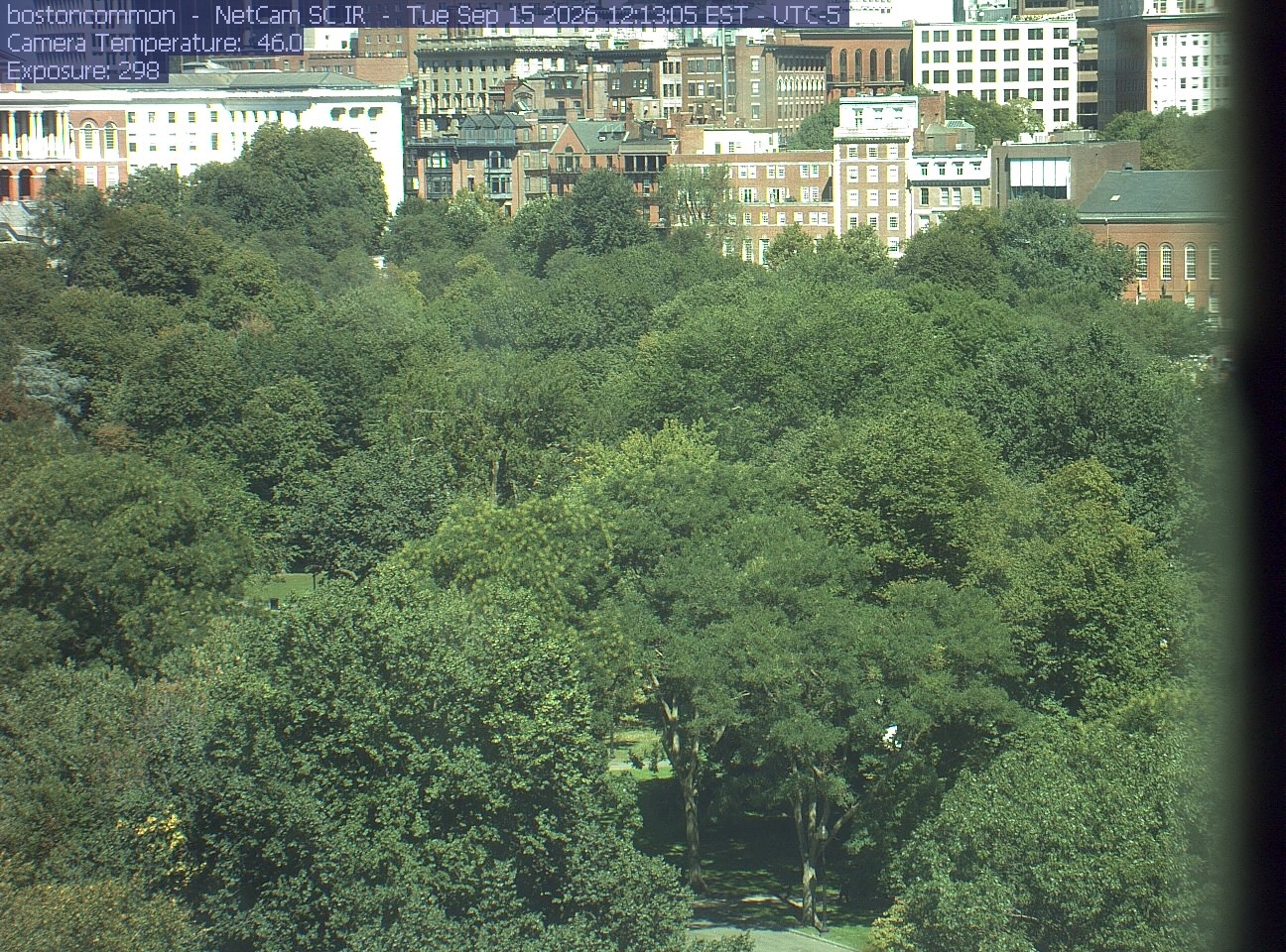Buildings rise behind the park canopy; a fixed structure covers part of the right edge.
