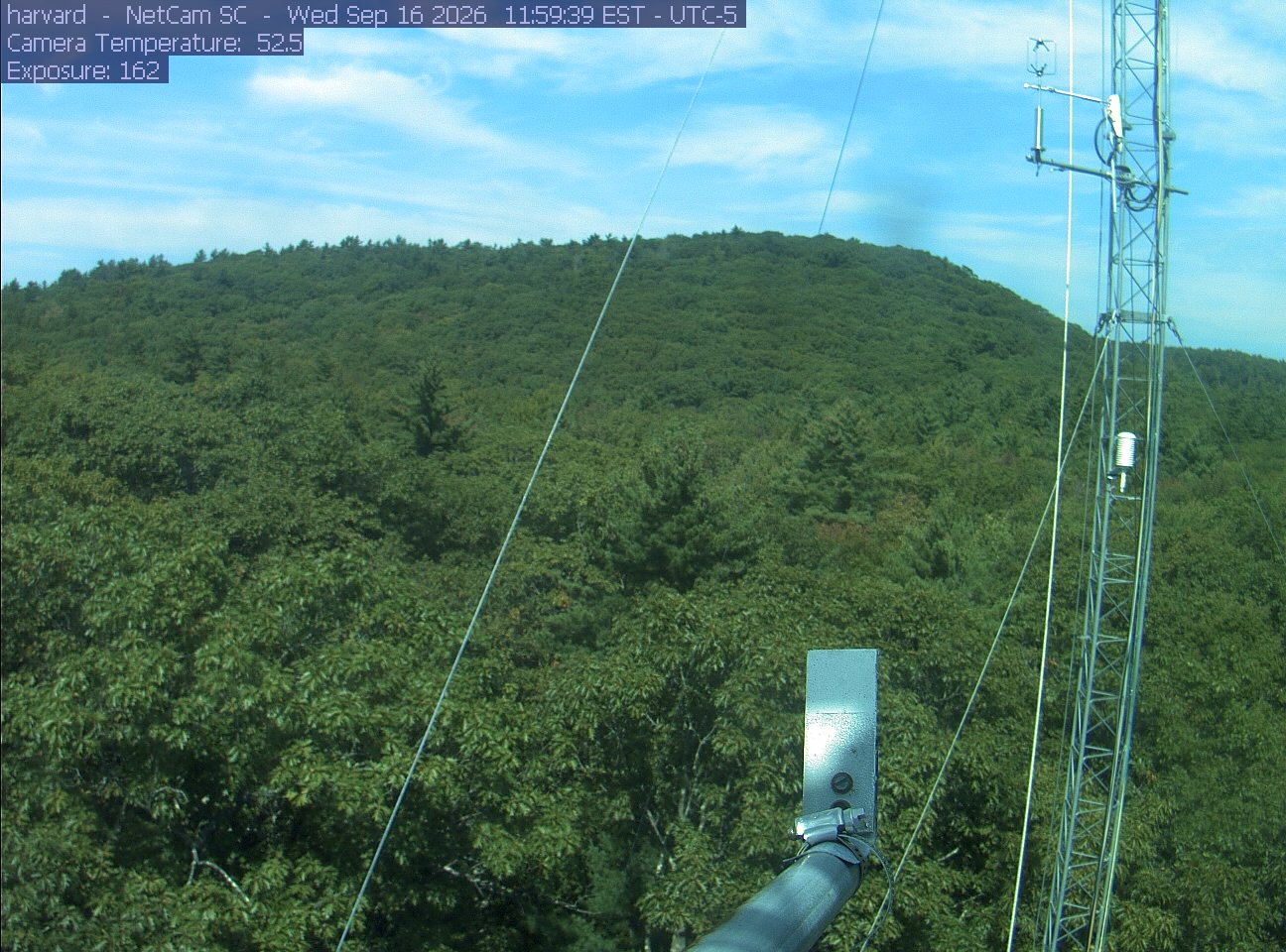 Forest canopy surrounds the tower, with a mast and instruments in the foreground.