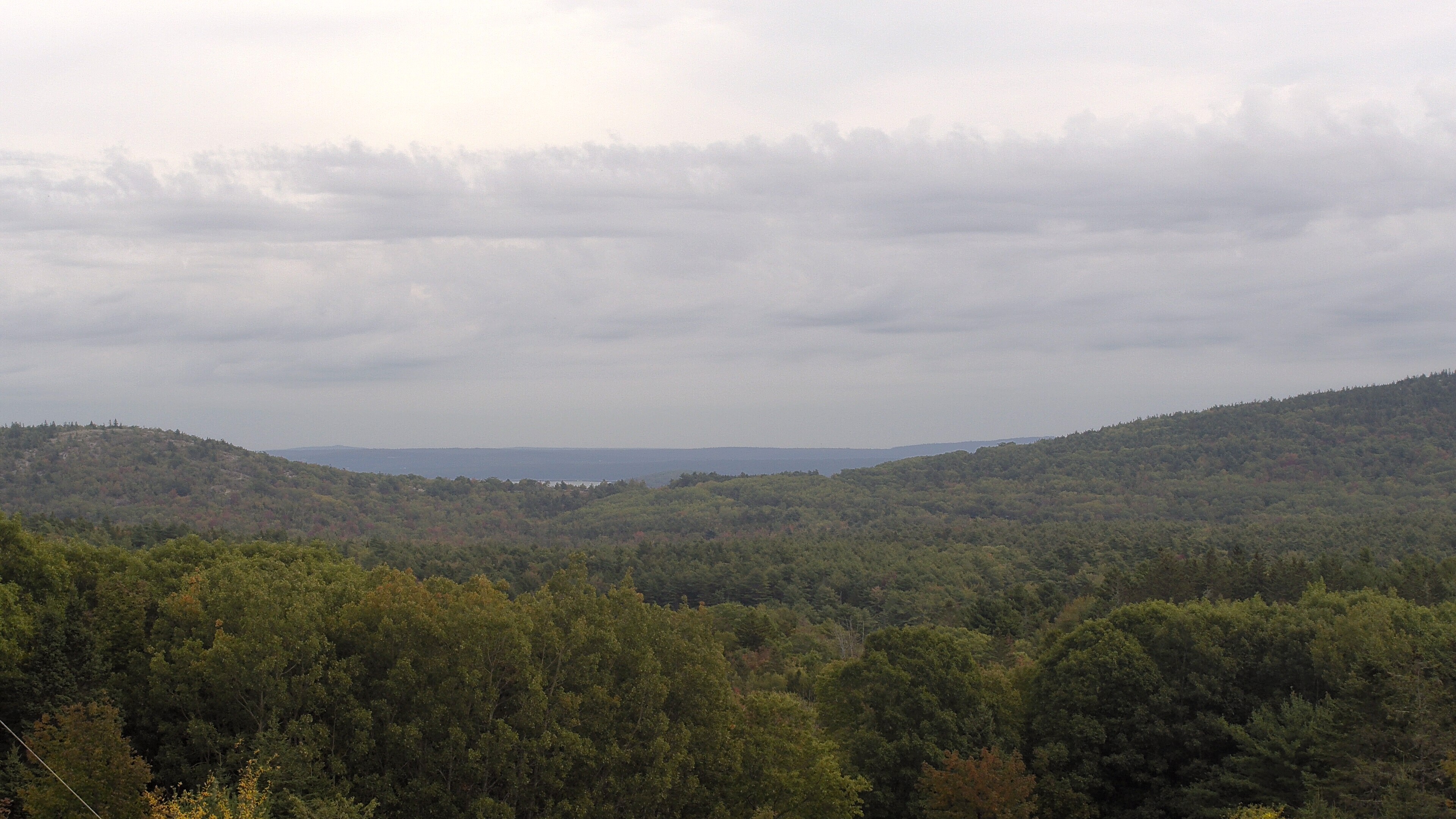 A wooded valley opens toward distant water, seen from McFarland Hill.