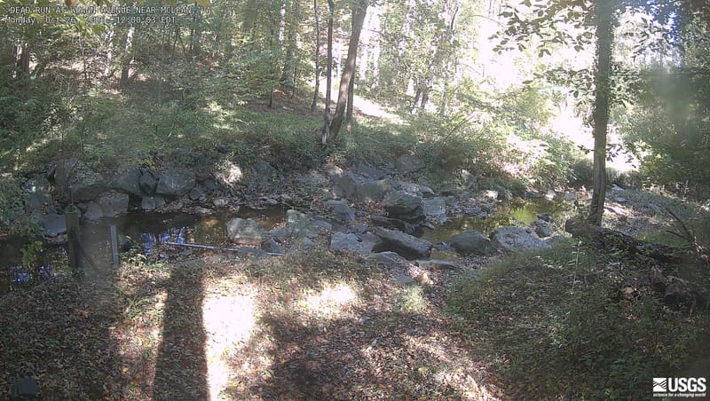 A shallow rocky woodland brook with large boulders, leaf-covered banks and tall deciduous trunks; mostly green foliage with early yellow patches.