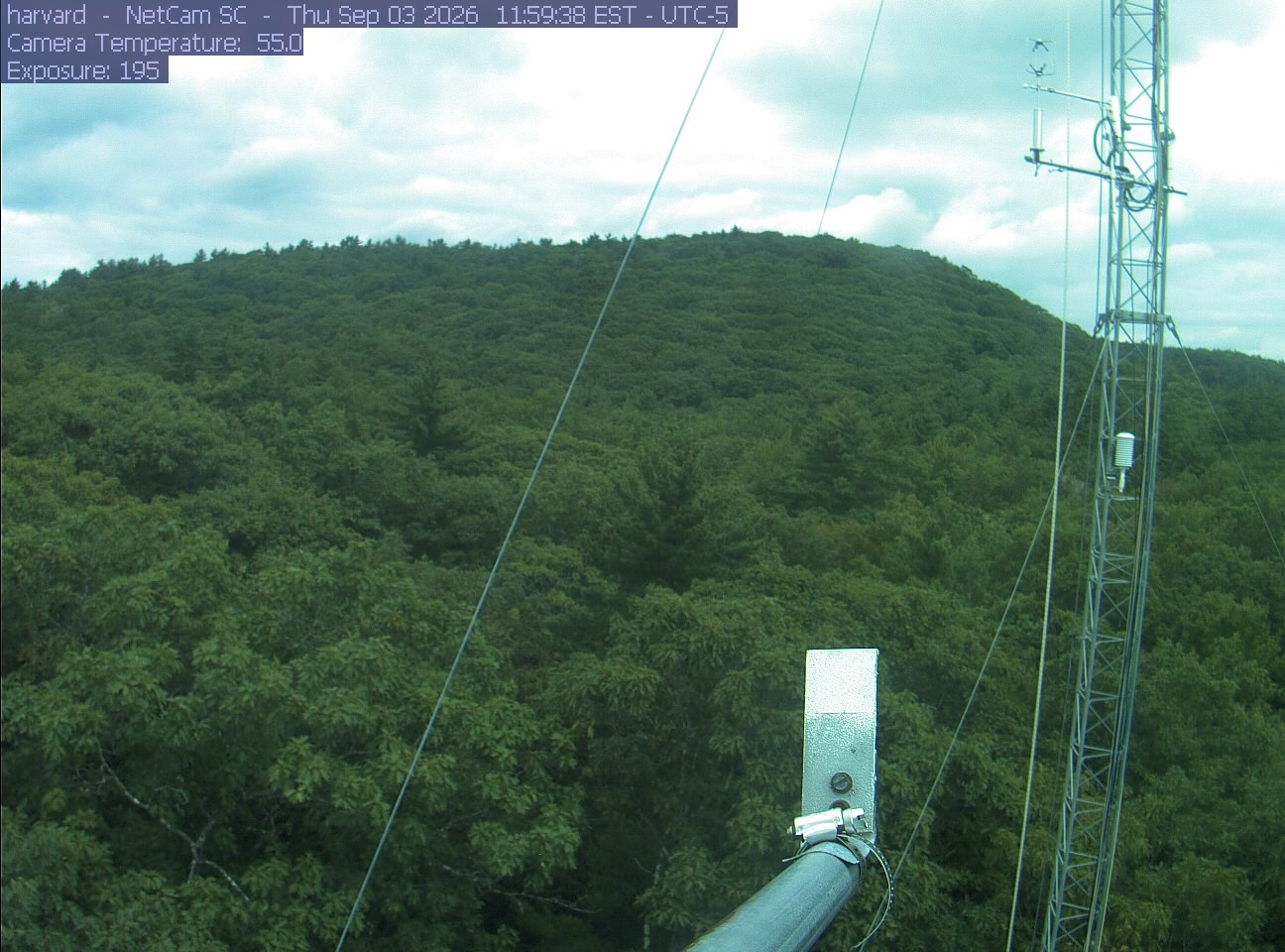 Forest canopy surrounds the tower, with a mast and instruments in the foreground.