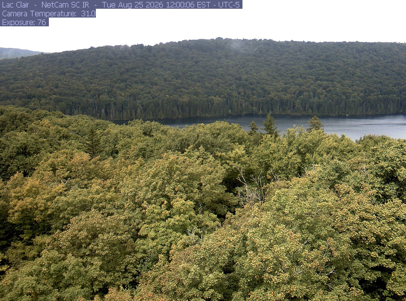 A wooded hillside and close canopy frame the water at Lac Clair.