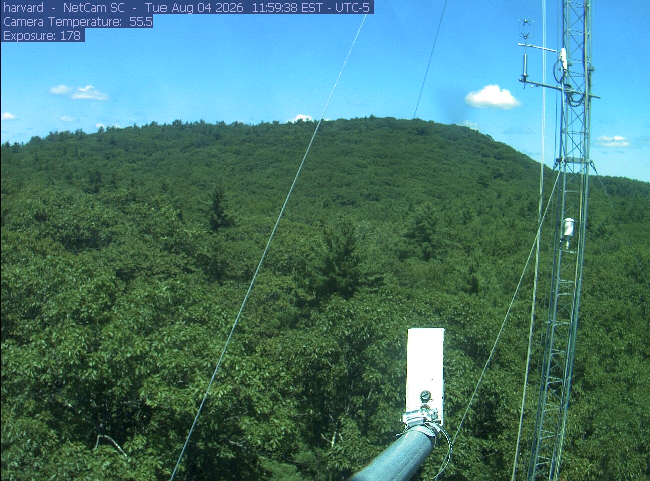 Forest canopy surrounds the tower, with a mast and instruments in the foreground.