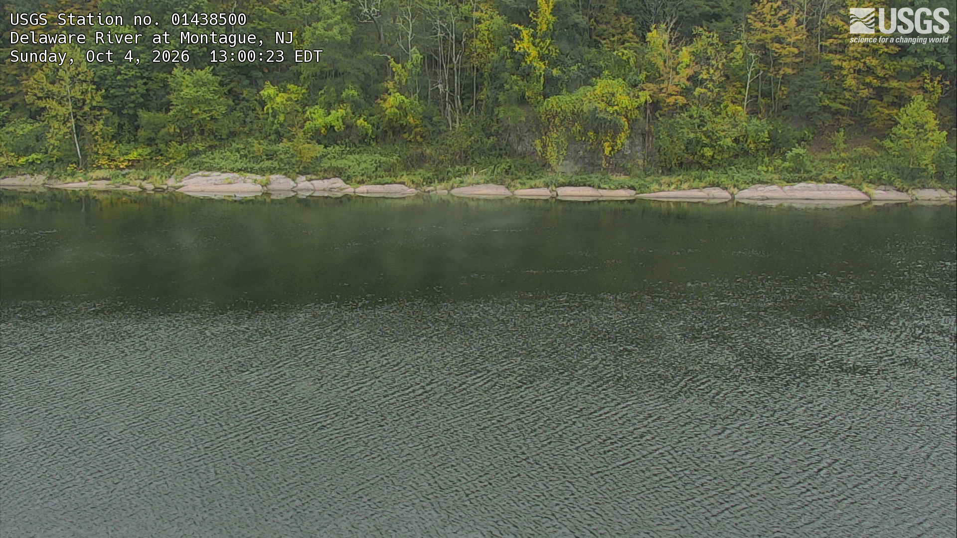 A broad river foreground and clear wooded opposite bank, with yellow and orange leaves among the green canopy.