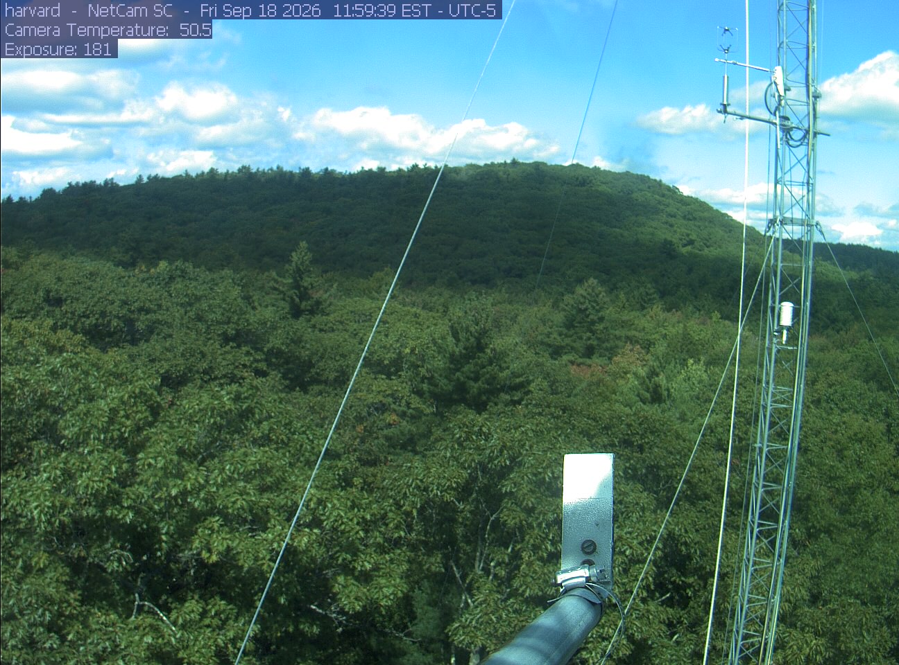 Forest canopy surrounds the tower, with a mast and instruments in the foreground.