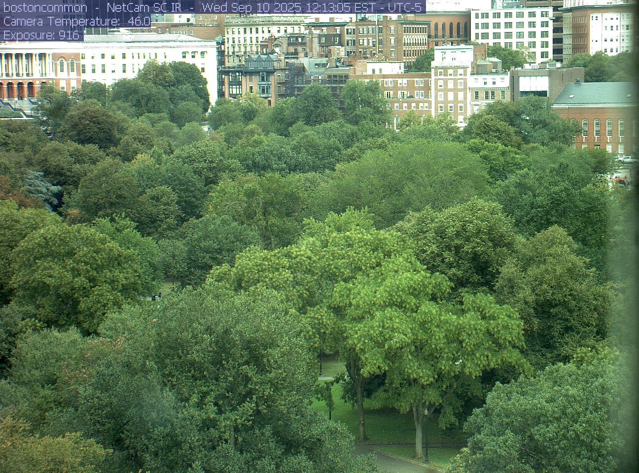 Buildings rise behind the park canopy; a fixed structure covers part of the right edge.