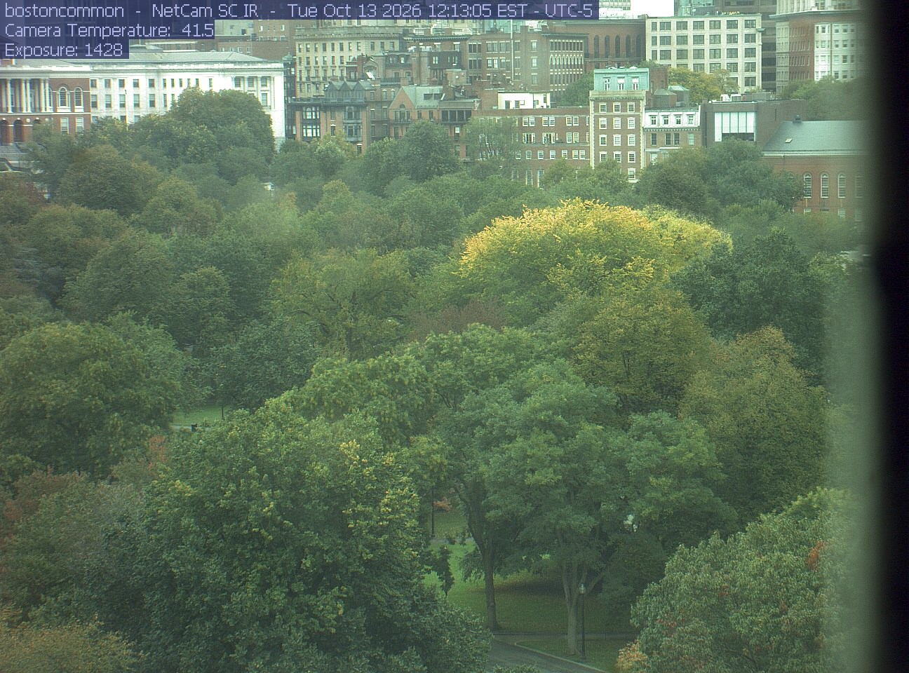 Buildings rise behind the park canopy; a fixed structure covers part of the right edge.
