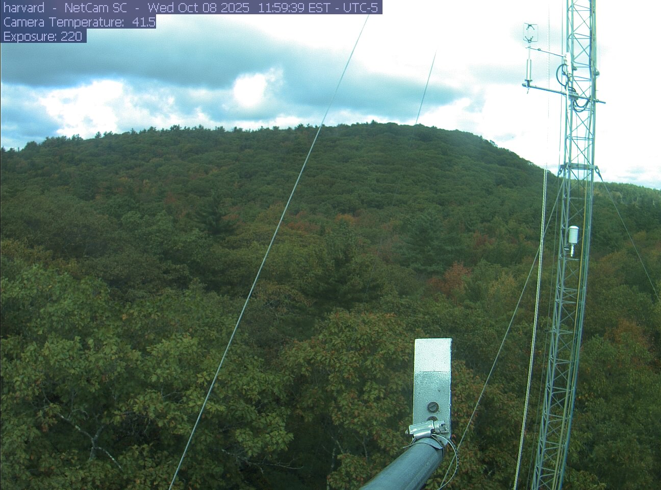 Forest canopy surrounds the tower, with a mast and instruments in the foreground.