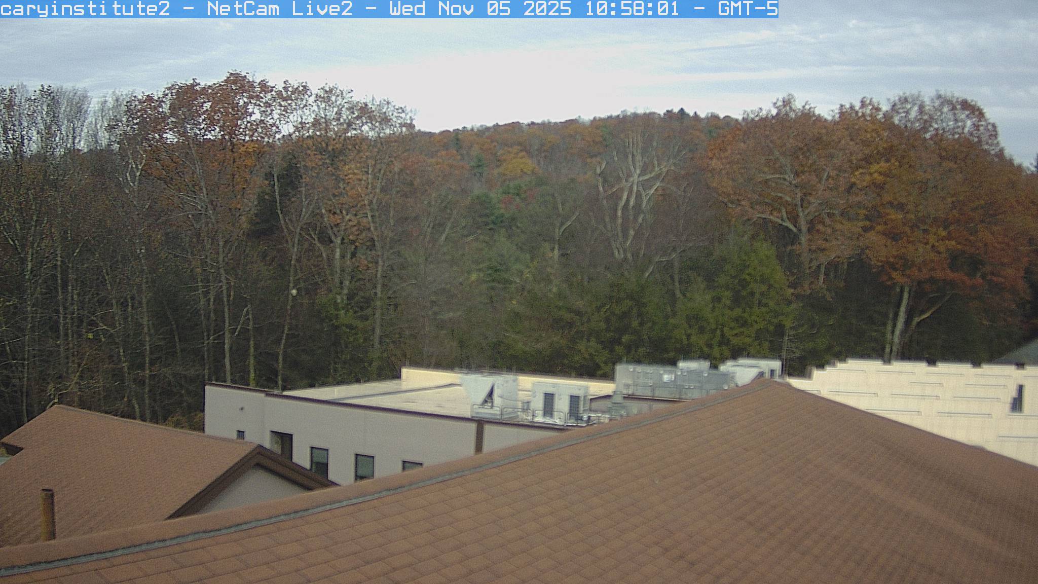A rooftop camera at the Cary Institute in Millbrook looks over a shingle roof and a flat-roofed building to broadleaf woods and a ridge.