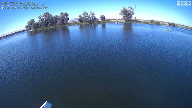 A line of green trees on the far bank reflects in the calm river, which fills most of the view. The leaves show no distinct autumn color.