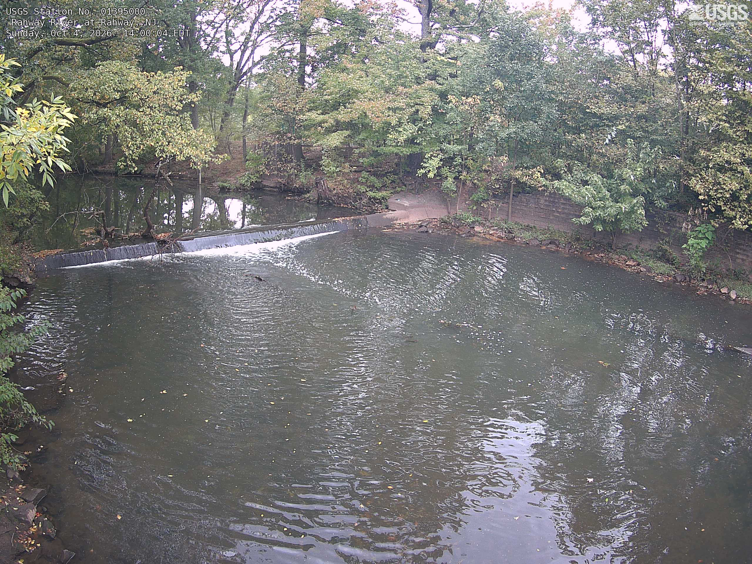 A broad wooded bank rises above a low weir and river pool. Green and yellowing foliage is readable across the upper half, with tree trunks and a path giving local context. Bright sky through the canopy washes out a few highlights but most leaves remain visible.