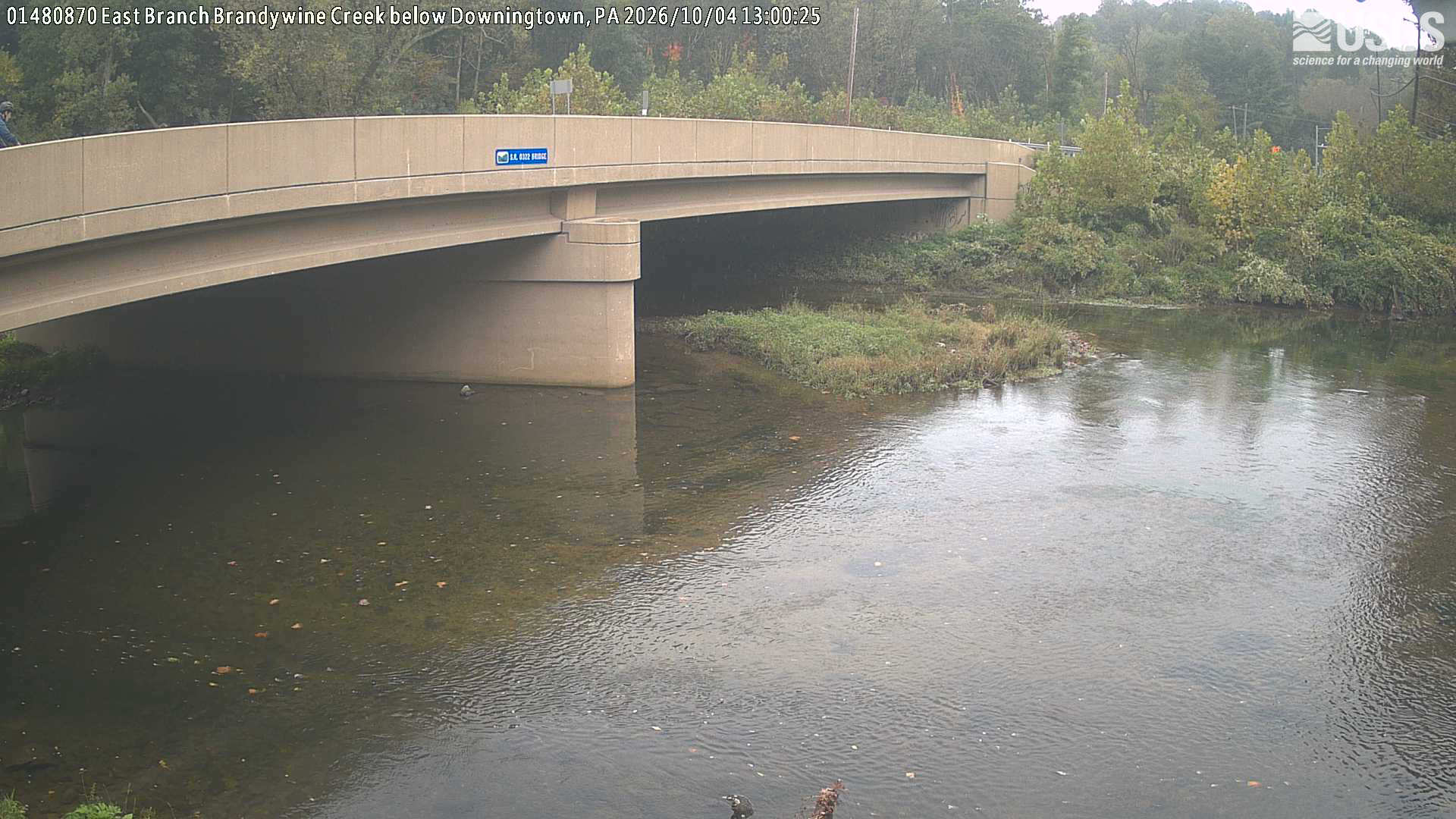 A bridge and creek dominate. Trees and shrubs behind and beside the bridge offer a restricted, hazy local green/yellow foliage view.