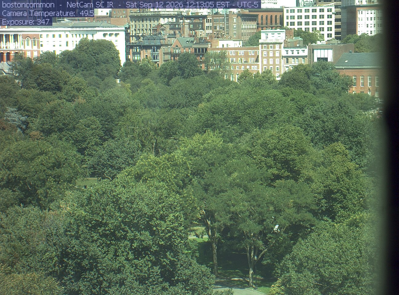 Buildings rise behind the park canopy; a fixed structure covers part of the right edge.