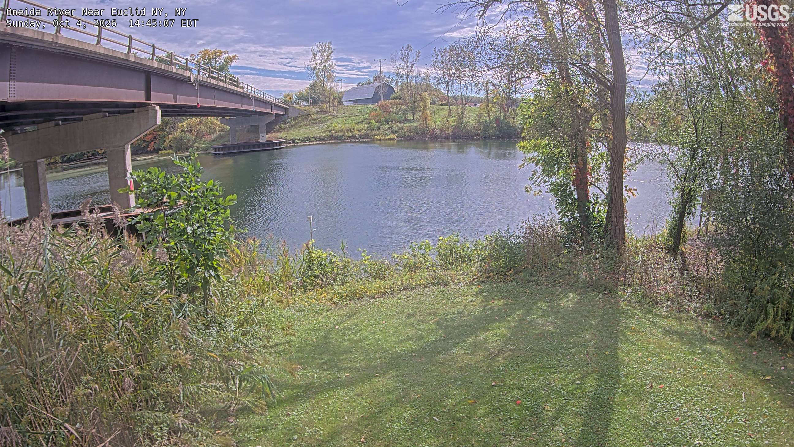 A riverbank and bridge bordered by near trees and shrubs, with green leaves, yellowing crowns and patches of red vines visible on both banks. An ordinary riverside scene with a large bridge; backlighting makes exact leaf color less dependable, and vines are not evidence for tree species.