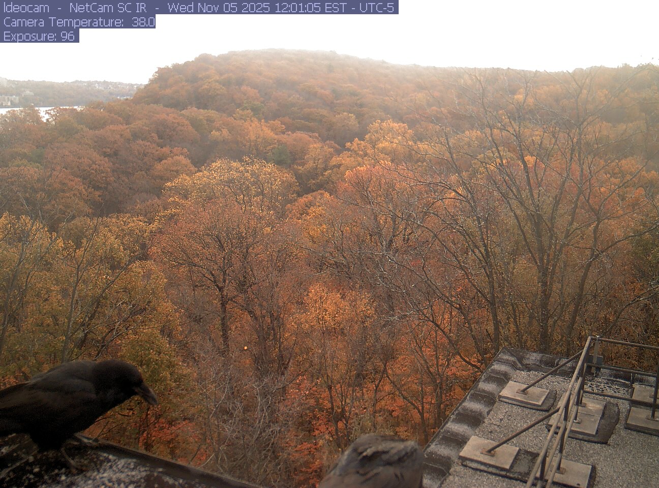 A wooded ridge rises behind close canopy at Lamont–Doherty Earth Observatory.