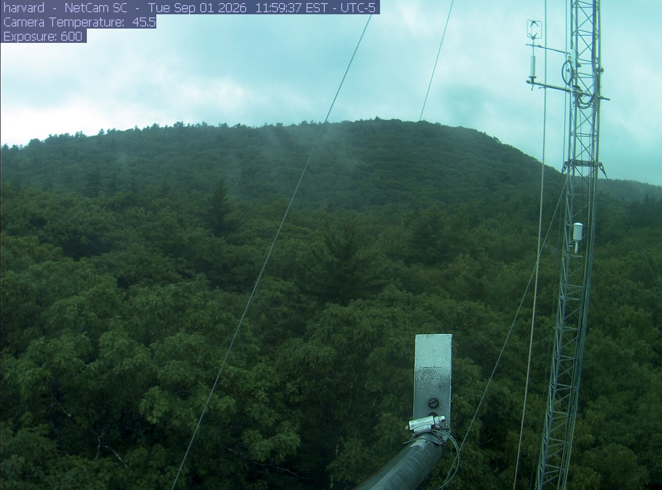 Forest canopy surrounds the tower, with a mast and instruments in the foreground.