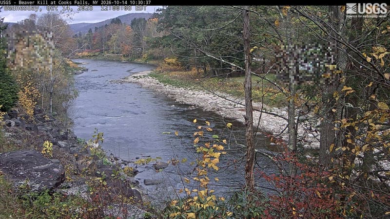 A rocky river reach between wooded banks and a low hill, with yellow and bronze near leaves and muted orange crowns upstream. The provider has blurred two small rectangular areas.