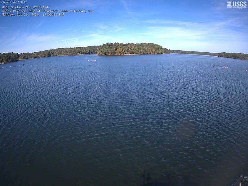 The blue lake opens toward a wooded shore and a low forested peninsula. Most trees are still green, with scattered rust and gold crowns beneath a wide sky.