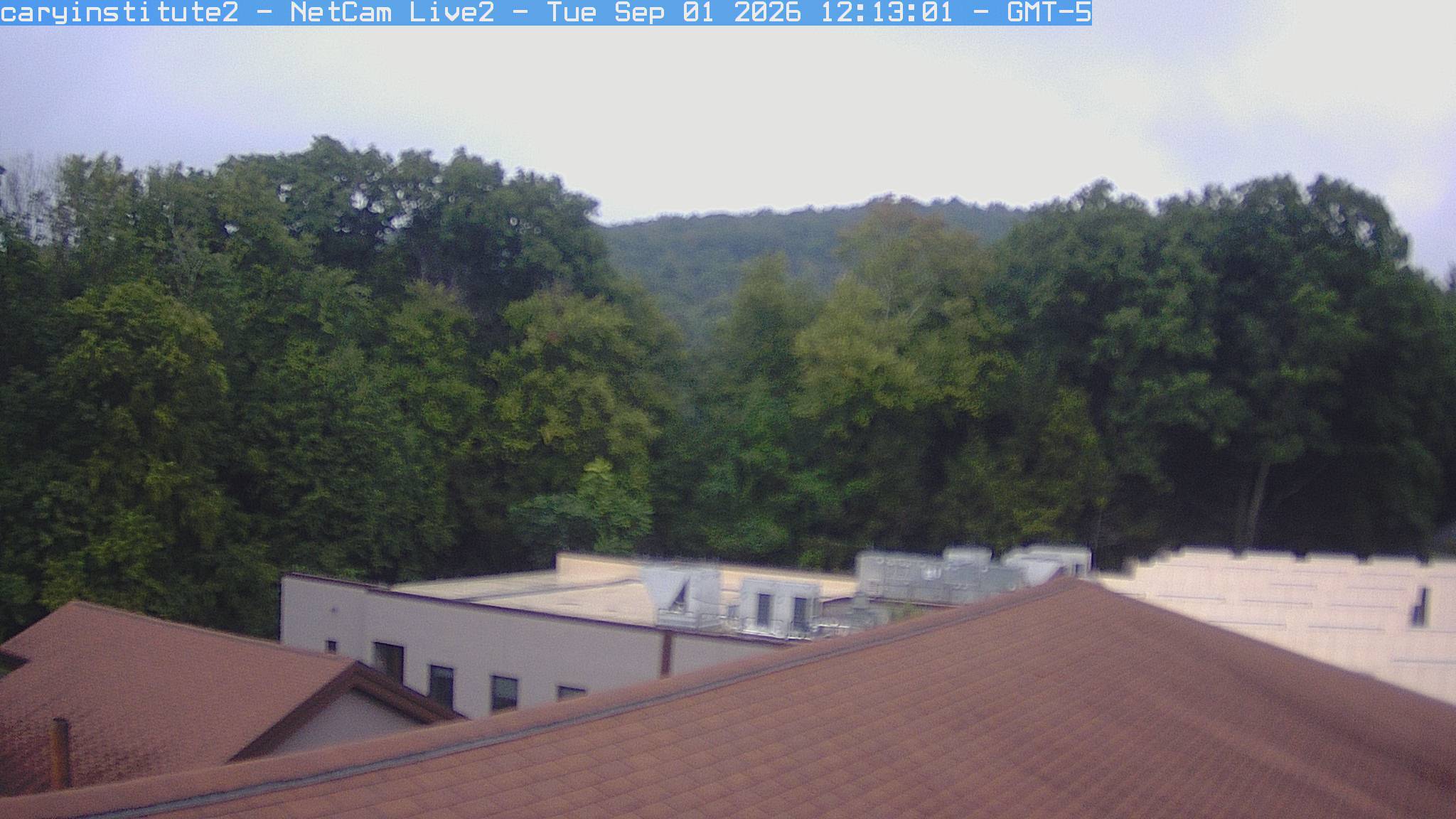 A rooftop camera at the Cary Institute in Millbrook looks over a shingle roof and a flat-roofed building to broadleaf woods and a ridge.