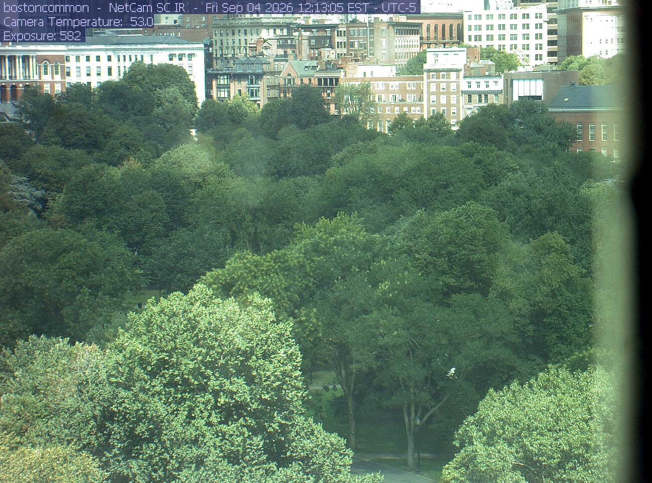 Buildings rise behind the park canopy; a fixed structure covers part of the right edge.