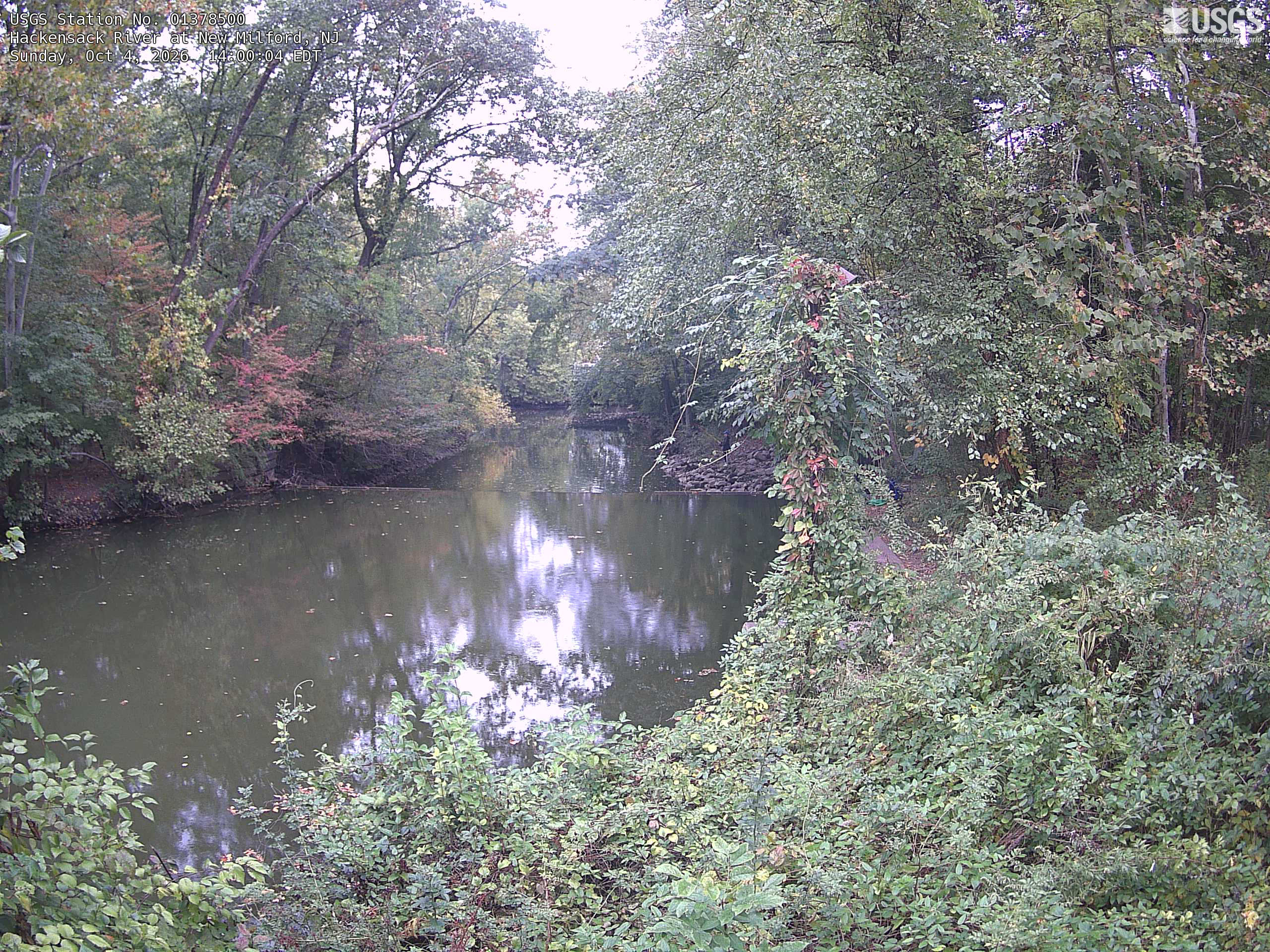 A sheltered river is surrounded by substantial readable canopy, with mostly green trees and conspicuous red-pink leaves at left. Near branches and reflections add local context; the view is shaded and slightly pale, not a calibrated colour sample.