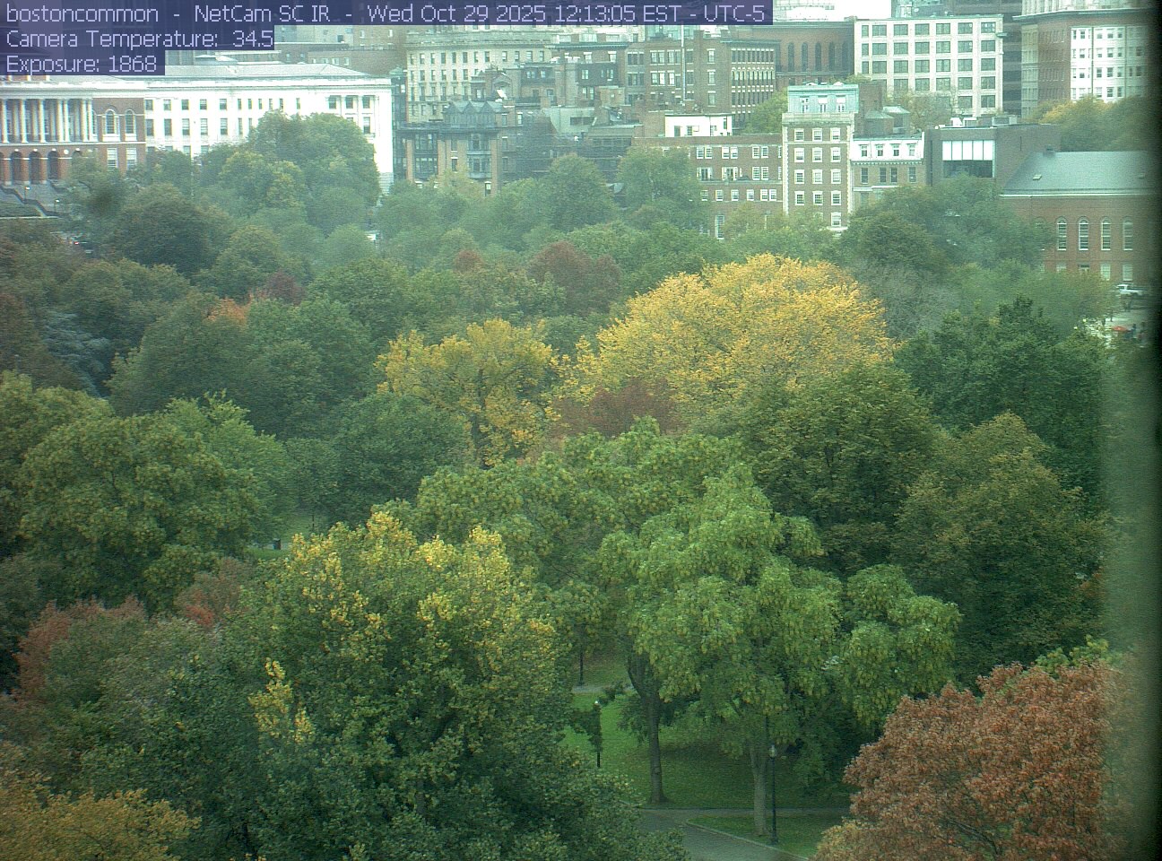 Buildings rise behind the park canopy; a fixed structure covers part of the right edge.