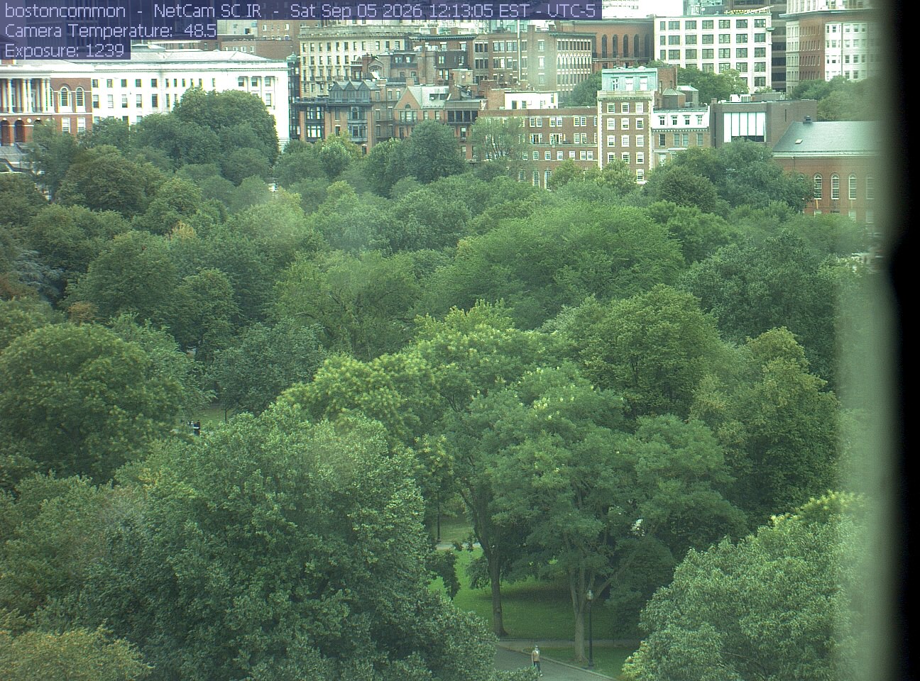 Buildings rise behind the park canopy; a fixed structure covers part of the right edge.