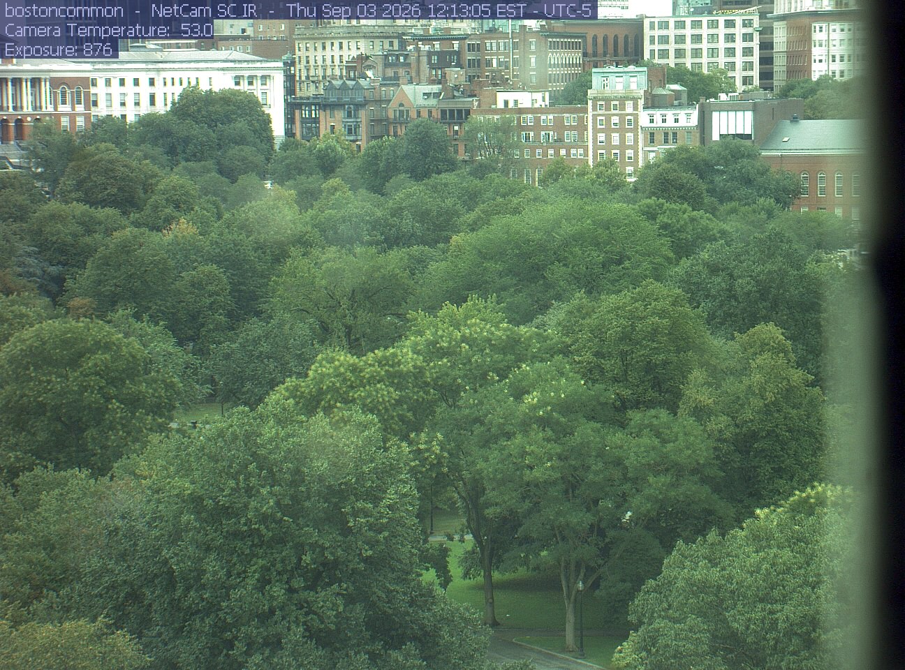 Buildings rise behind the park canopy; a fixed structure covers part of the right edge.